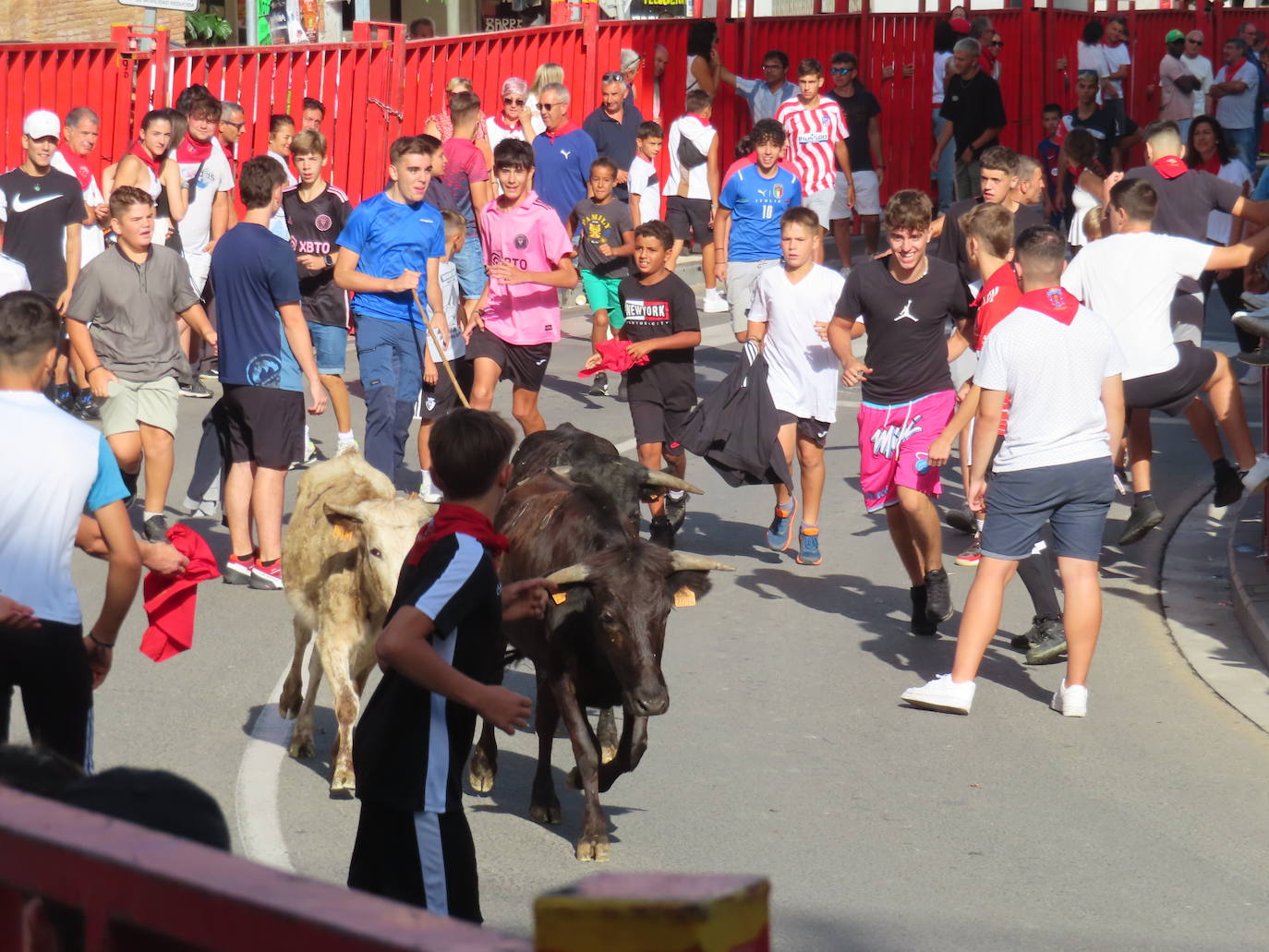 Día grande de las fiestas en Alfaro