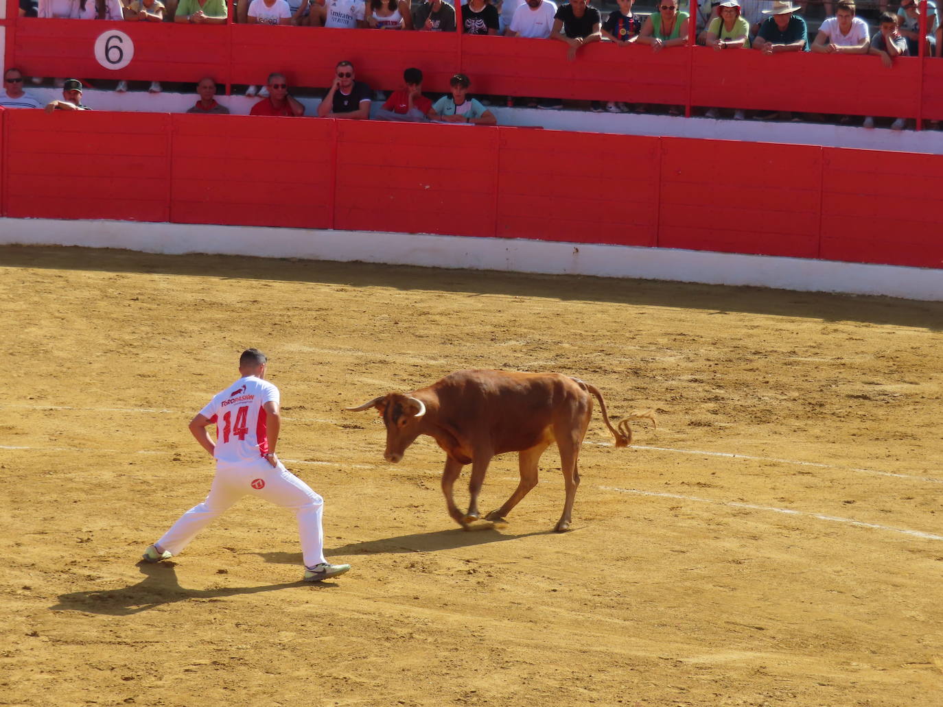 Día grande de las fiestas en Alfaro