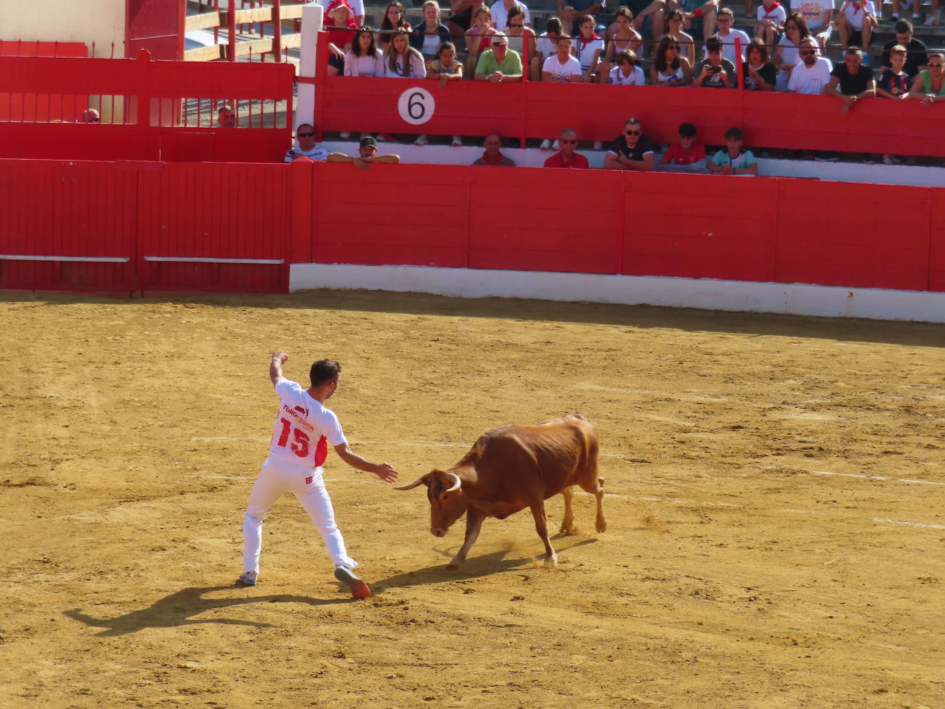 Día grande de las fiestas en Alfaro