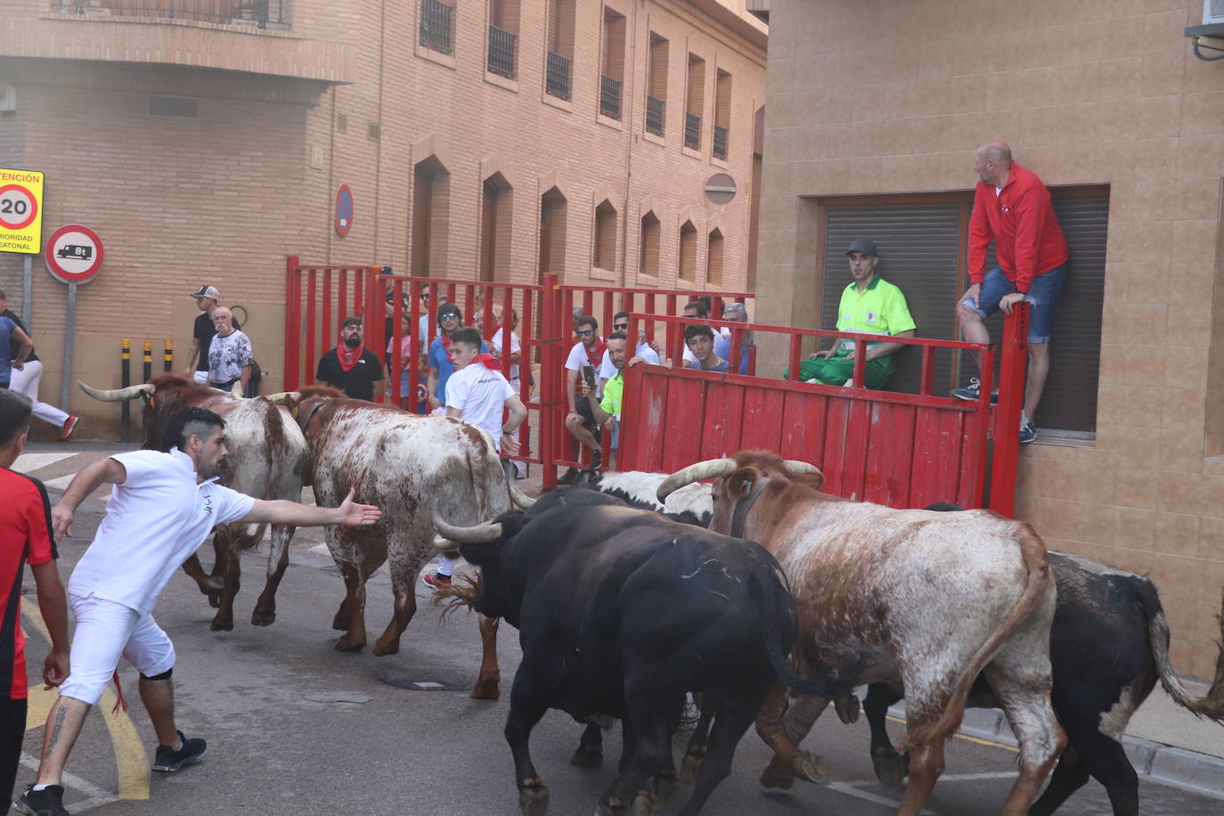 Los mayores protagonizan la fiesta en Alfaro