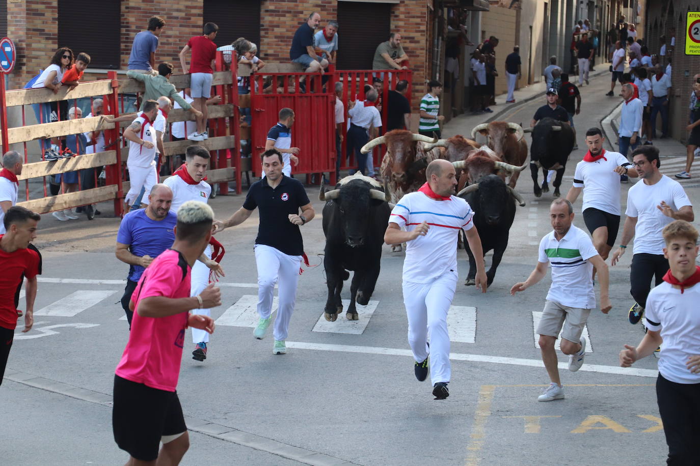 Los mayores protagonizan la fiesta en Alfaro