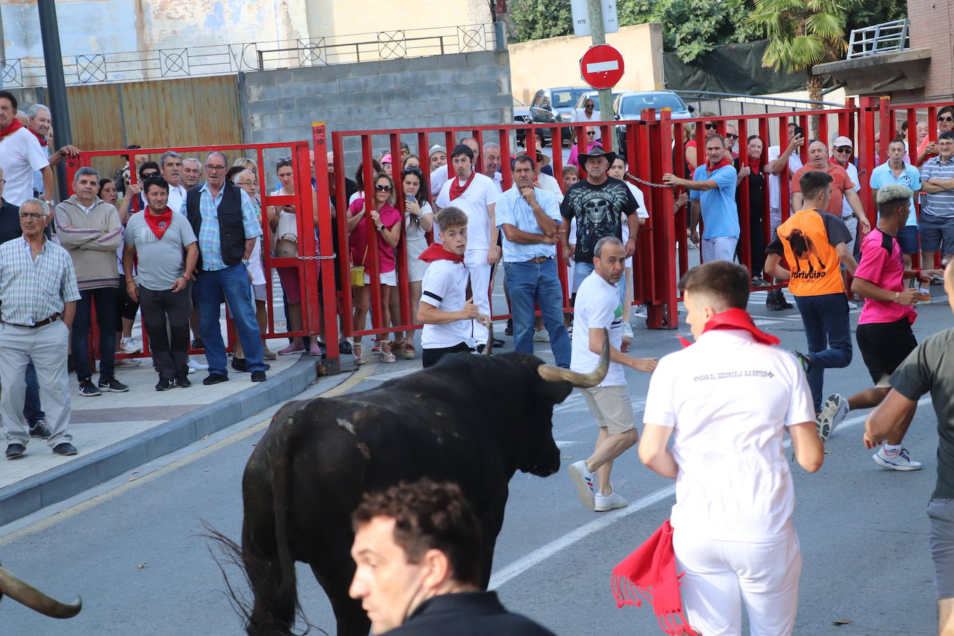 Los mayores protagonizan la fiesta en Alfaro