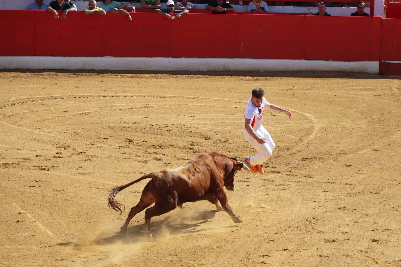 Los mayores protagonizan la fiesta en Alfaro