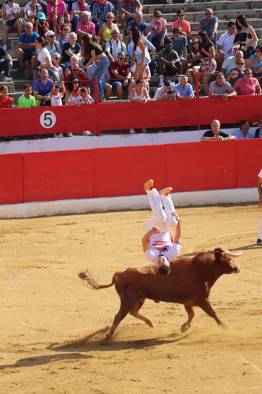 Los mayores protagonizan la fiesta en Alfaro