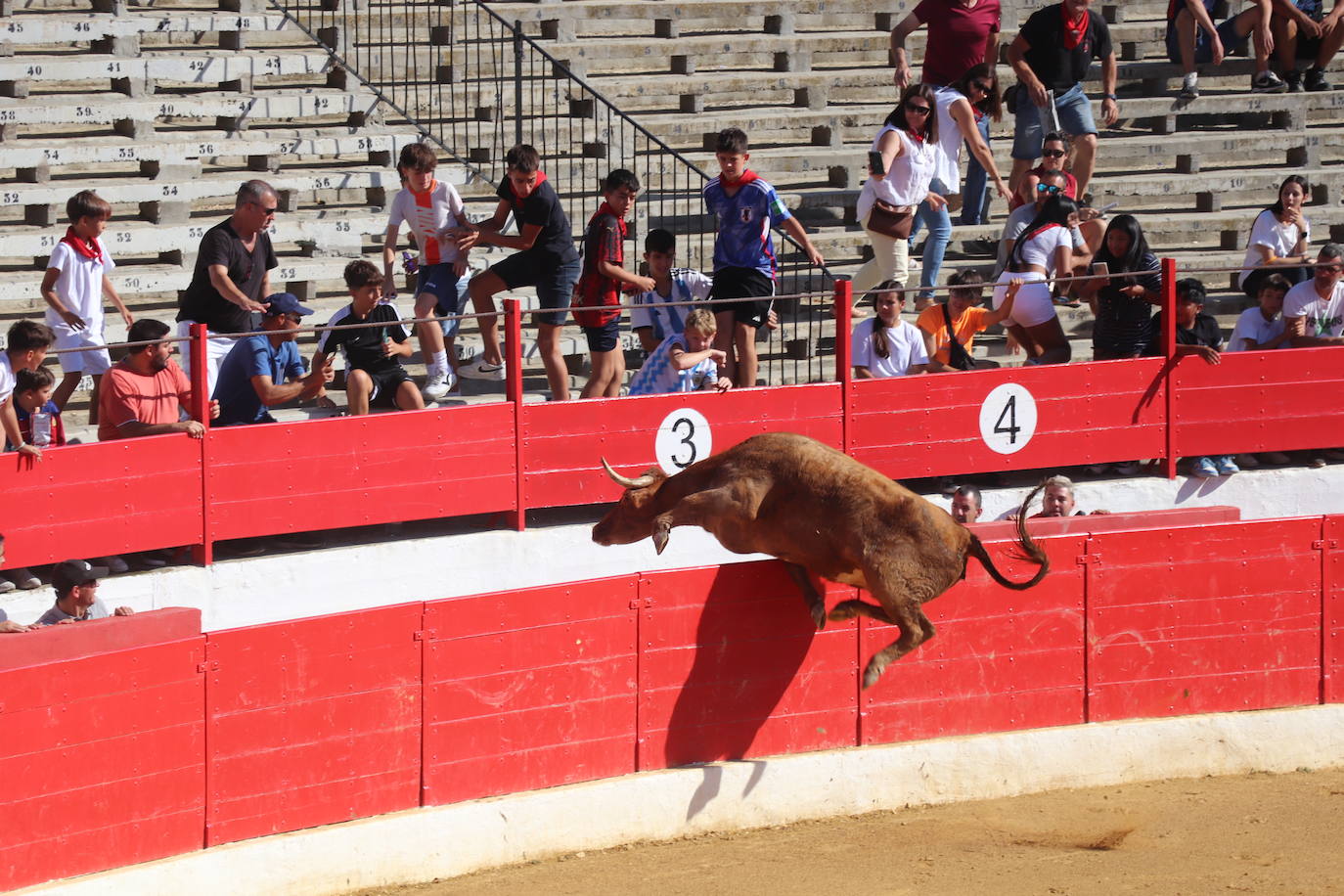 Penúltimo día de fiestas de Alfaro