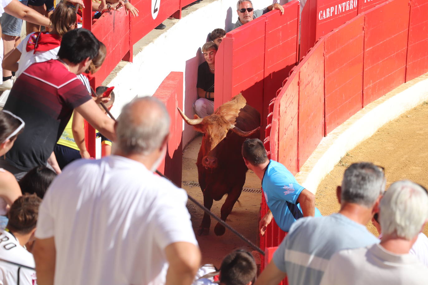 Penúltimo día de fiestas de Alfaro