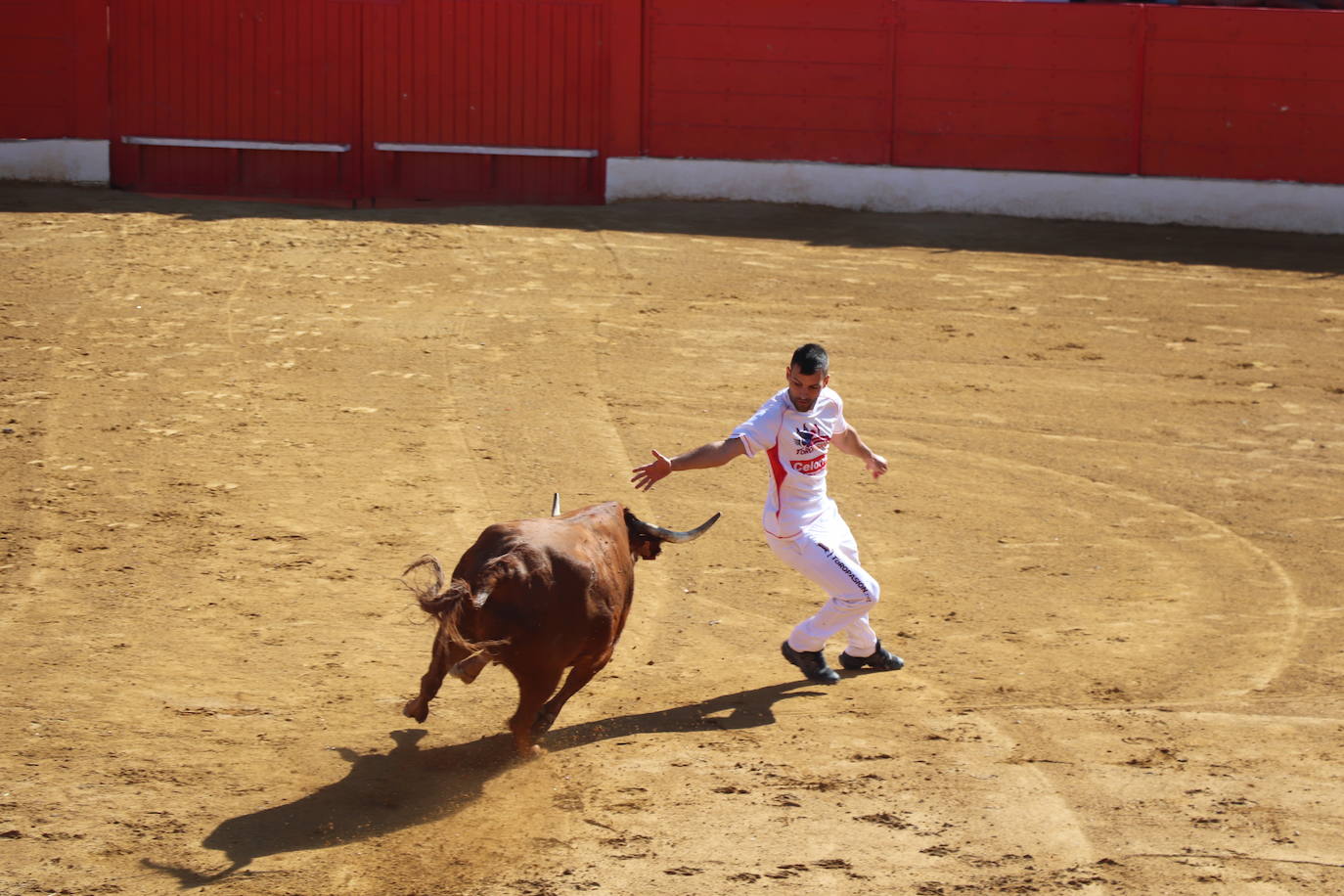 Penúltimo día de fiestas de Alfaro