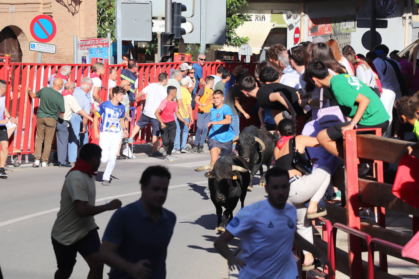 Penúltimo día de fiestas de Alfaro