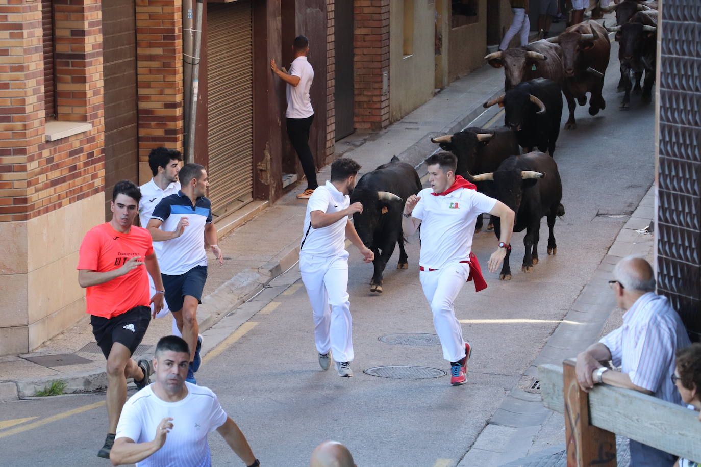 Penúltimo día de fiestas de Alfaro