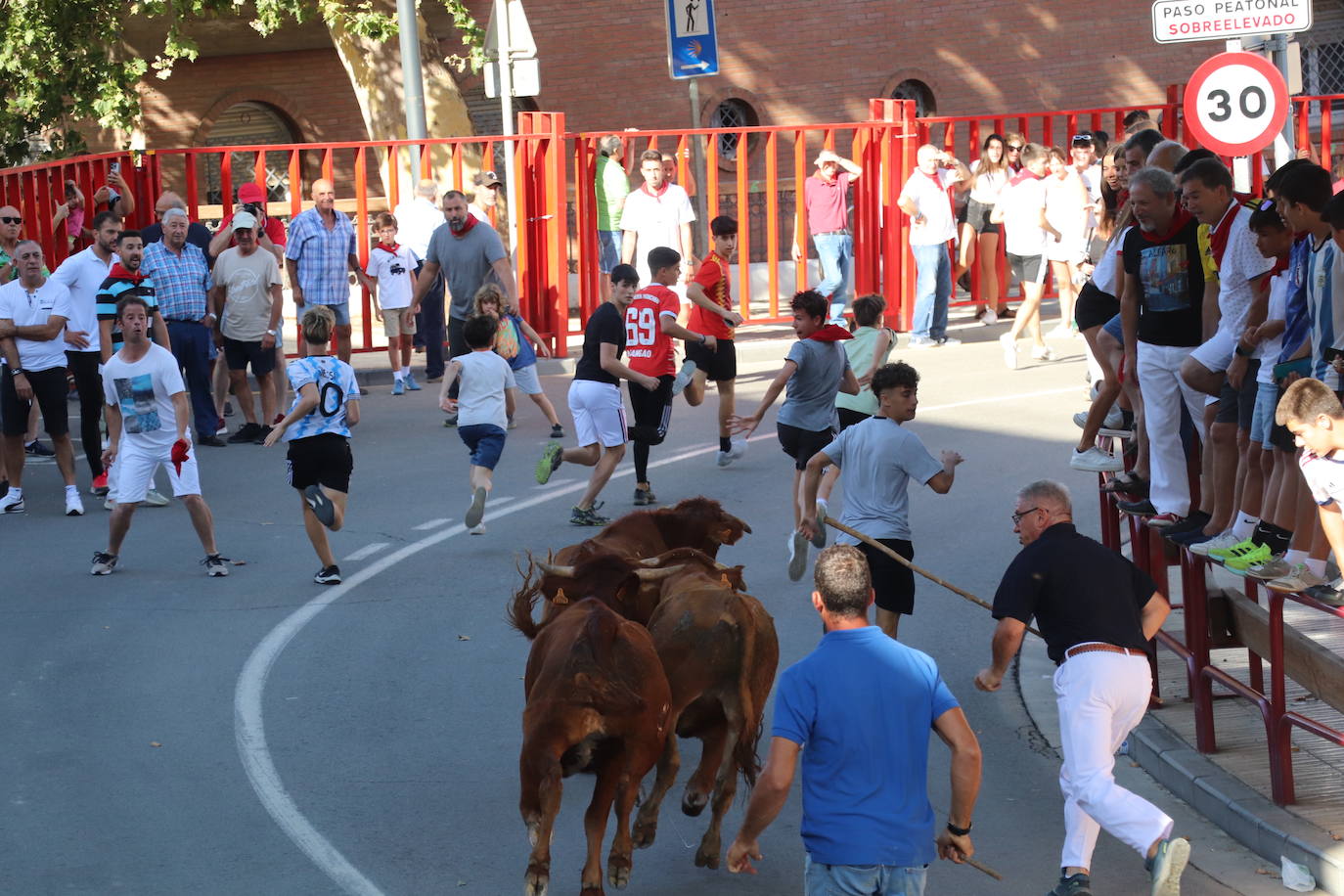 Penúltimo día de fiestas de Alfaro