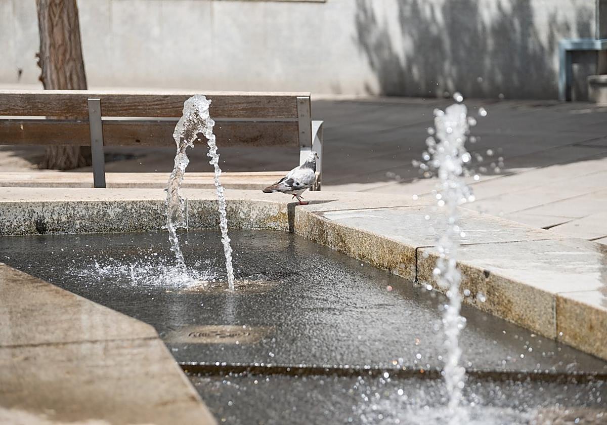 Las fuentes están sirviendo para soportar las altas temperaturas.