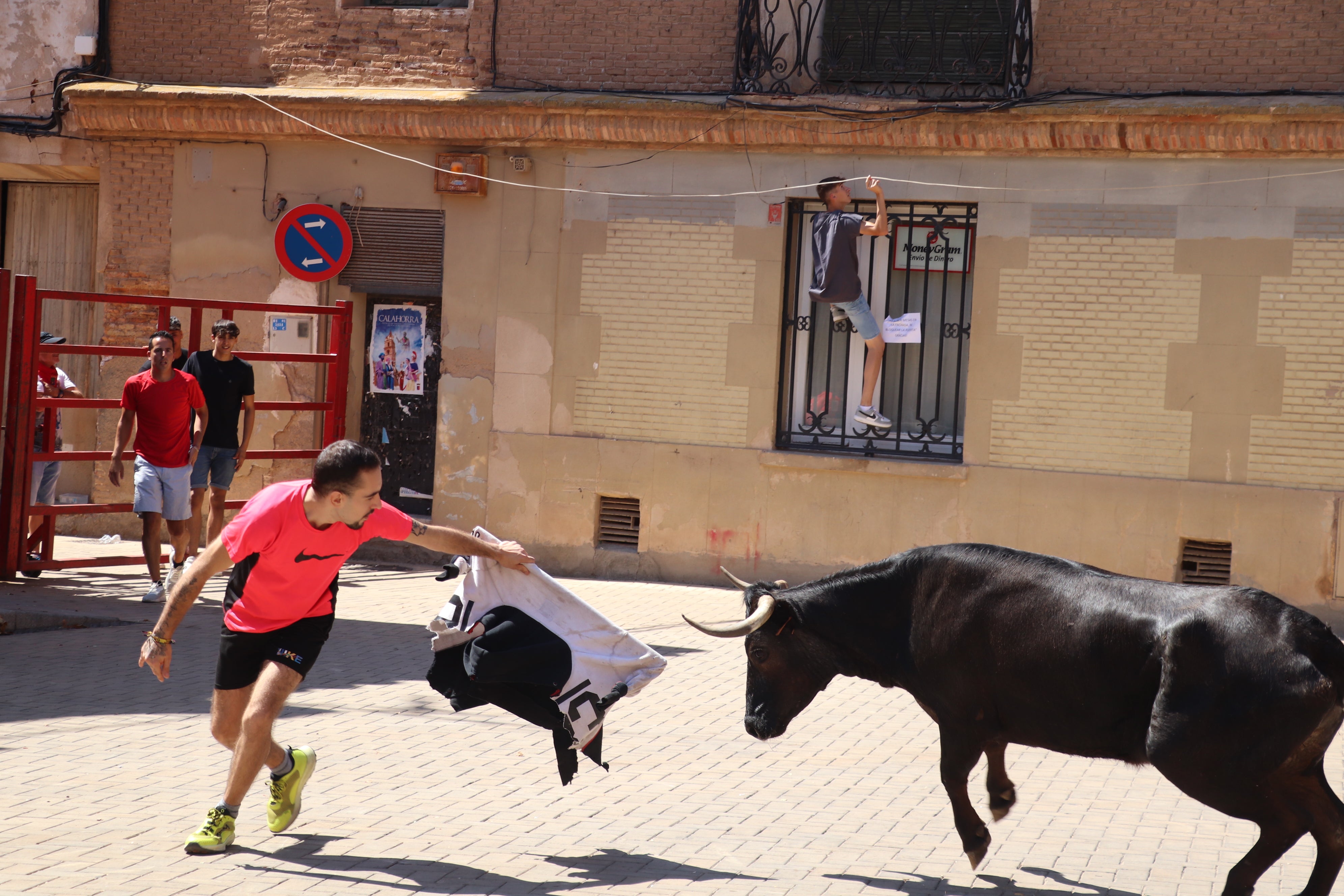 Aldeanueva de Ebro en fiestas