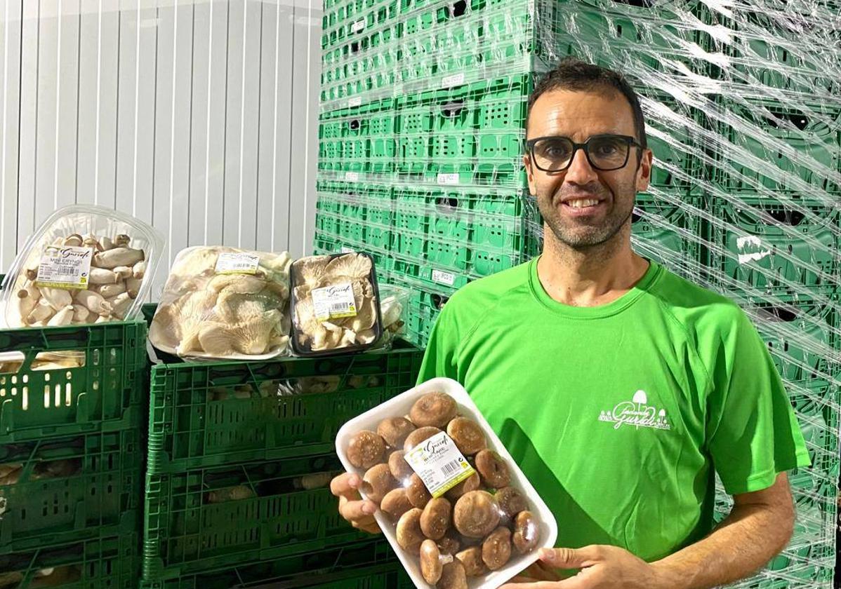 César Fernández Guridi sujeta una bandeja de shiitake, una de las tres variedades de seta que producen en su explotación familiar en Pradejón.