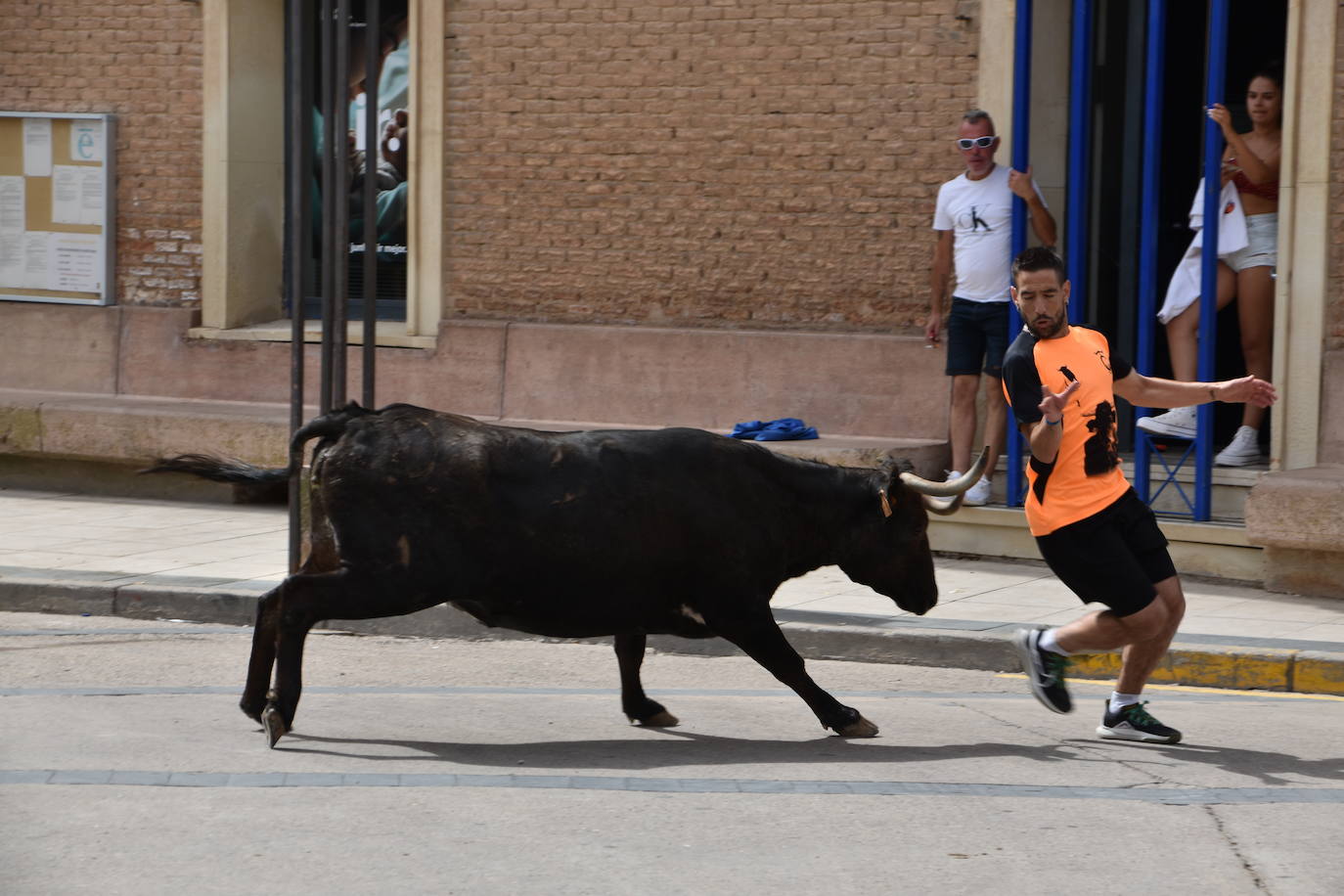 Encierros en las fiestas de Aldeanueva de Ebro