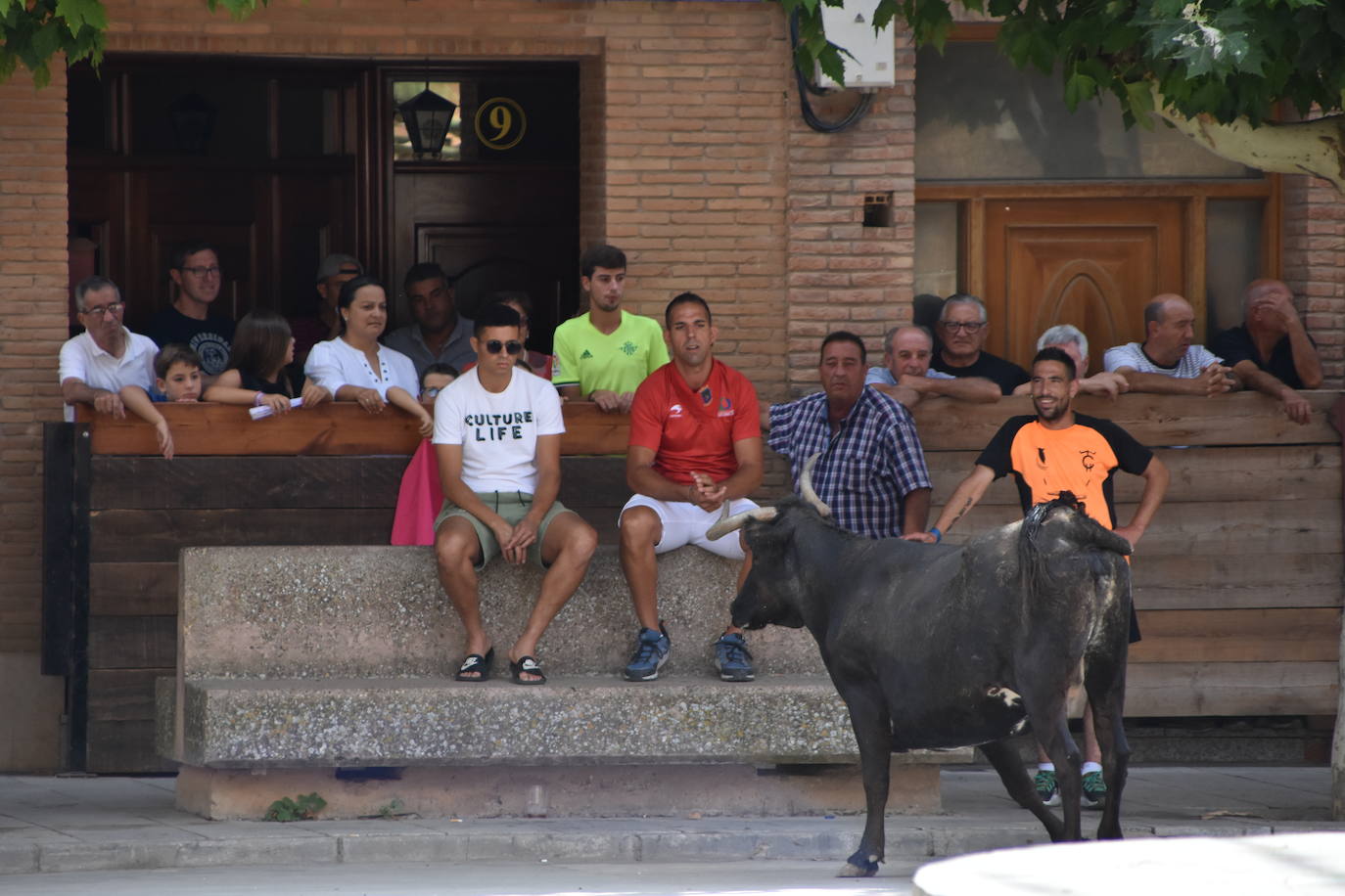 Encierros en las fiestas de Aldeanueva de Ebro