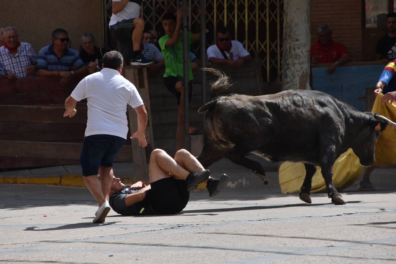 Encierros en las fiestas de Aldeanueva de Ebro