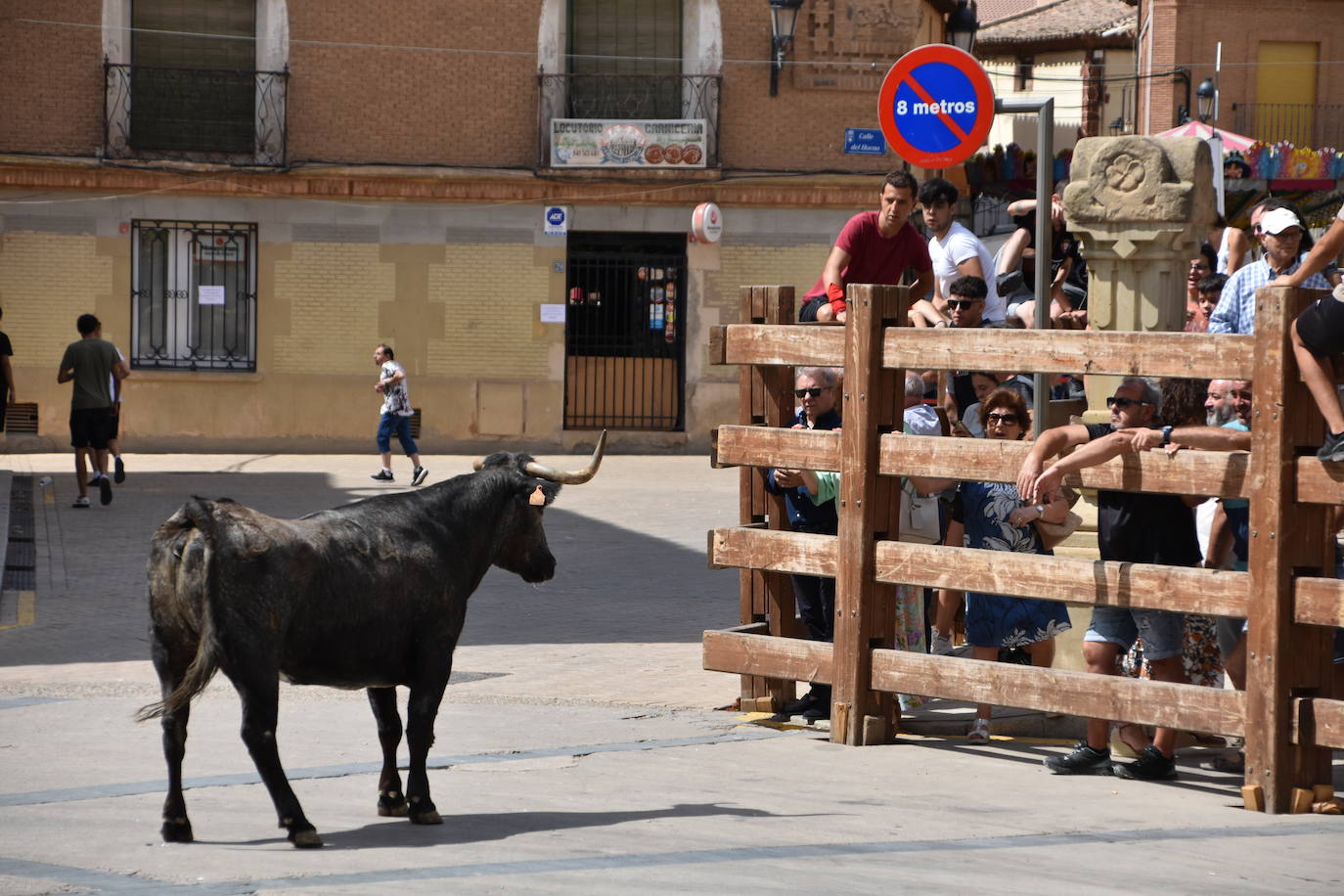 Encierros en las fiestas de Aldeanueva de Ebro