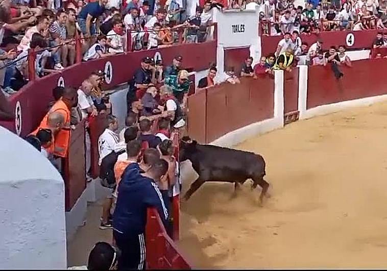 El del 'chaleco', el 'descamisado' y el revolcón que se veía venir en Calahorra