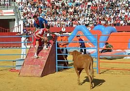 Dos participantes en el Gran Prix en una de las pruebas con vaquilla