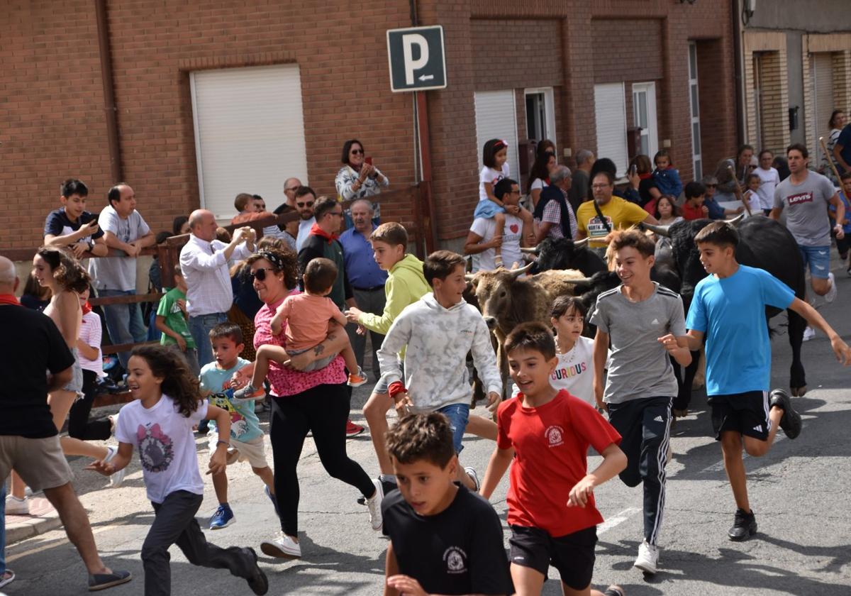 Trashumancia urbana con ganado de Eventos Trashumantes, ayer en la calle Ibo Alfaro de Cervera.