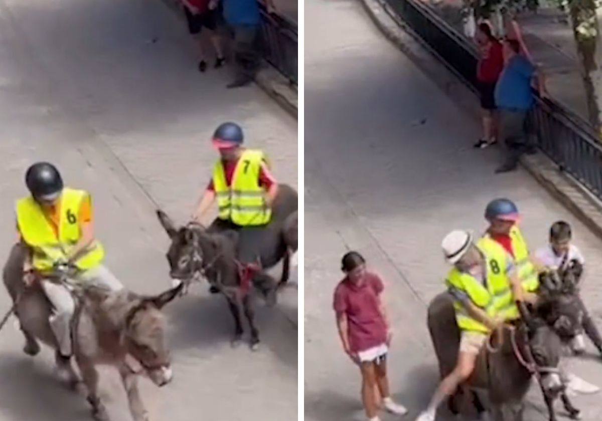 Fotogramas del video que denuncia la formación animalista