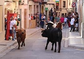 Los aficionados disfrutaron de vacas y de un novillo durante la tarde en el recorrido tradicional por varias calles del barrio del Burgo.