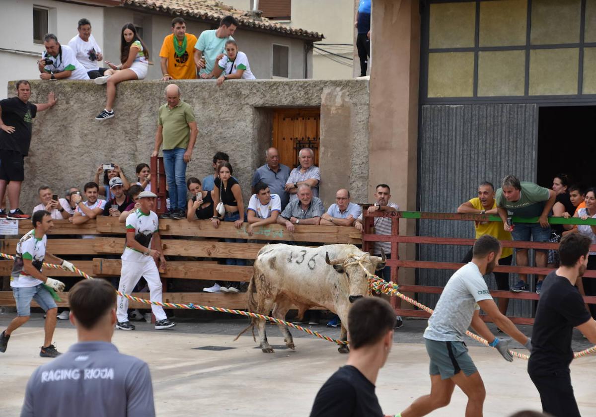 Los toros de Cabretón