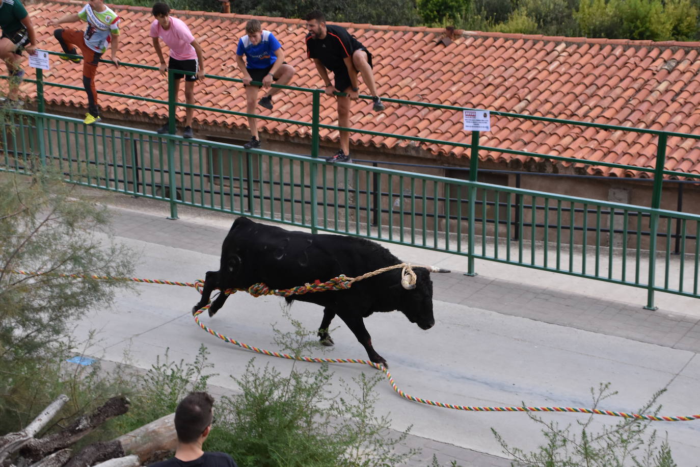 Los toros de Cabretón