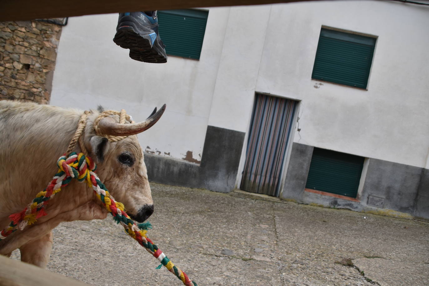 Los toros de Cabretón