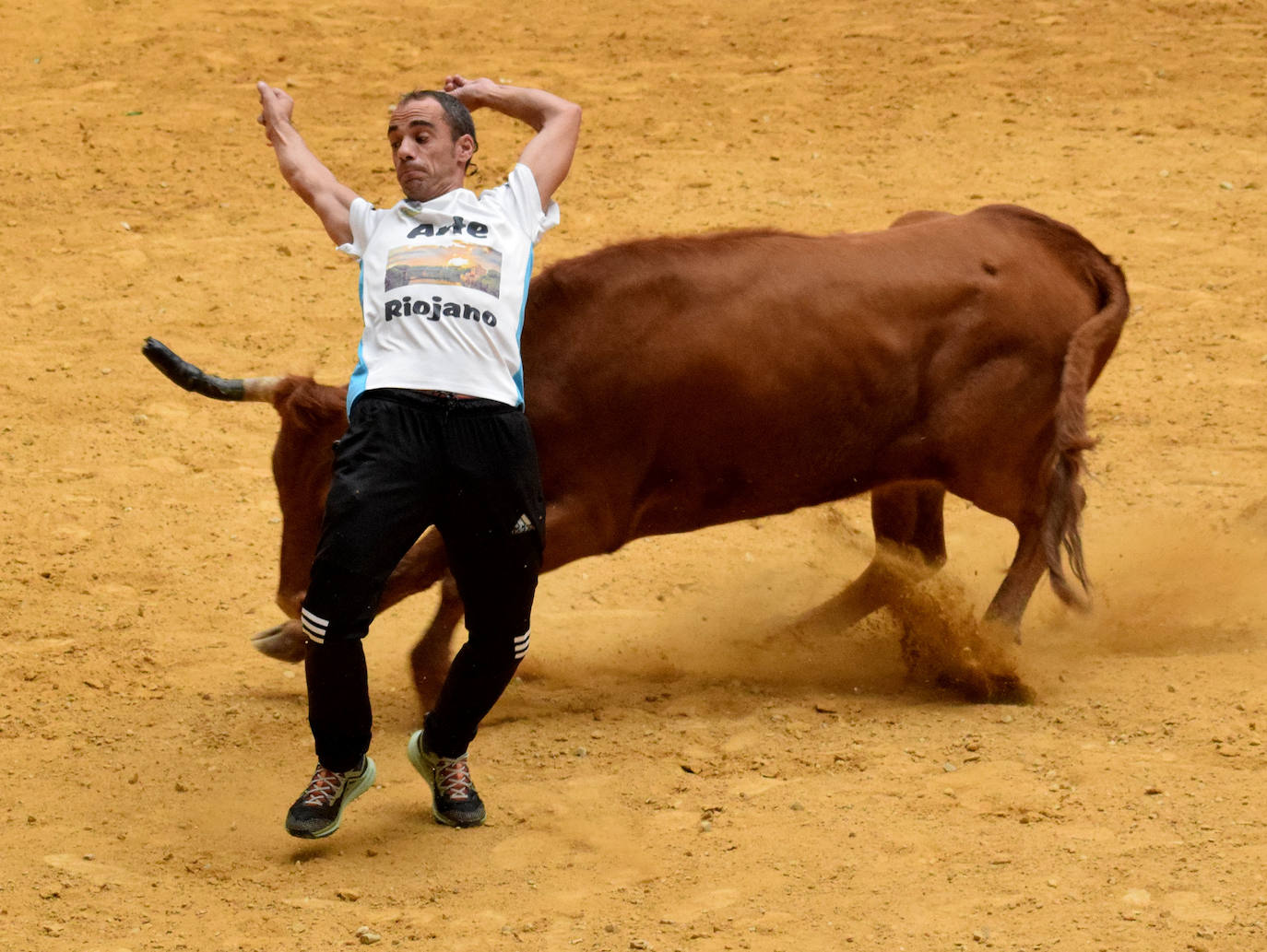Las vaquillas, fieles a la cita de San Mateo