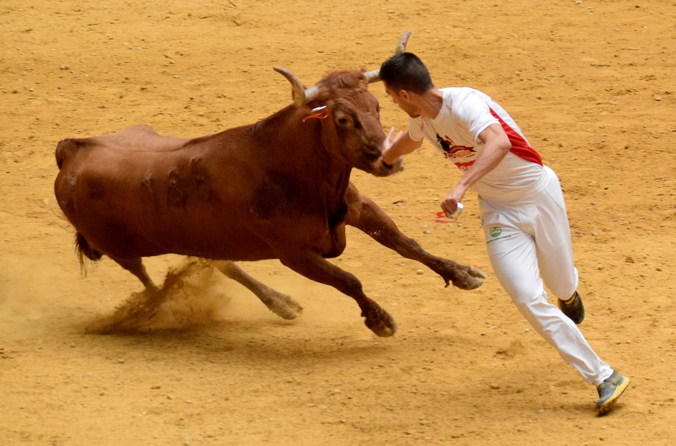 Las vaquillas, fieles a la cita de San Mateo