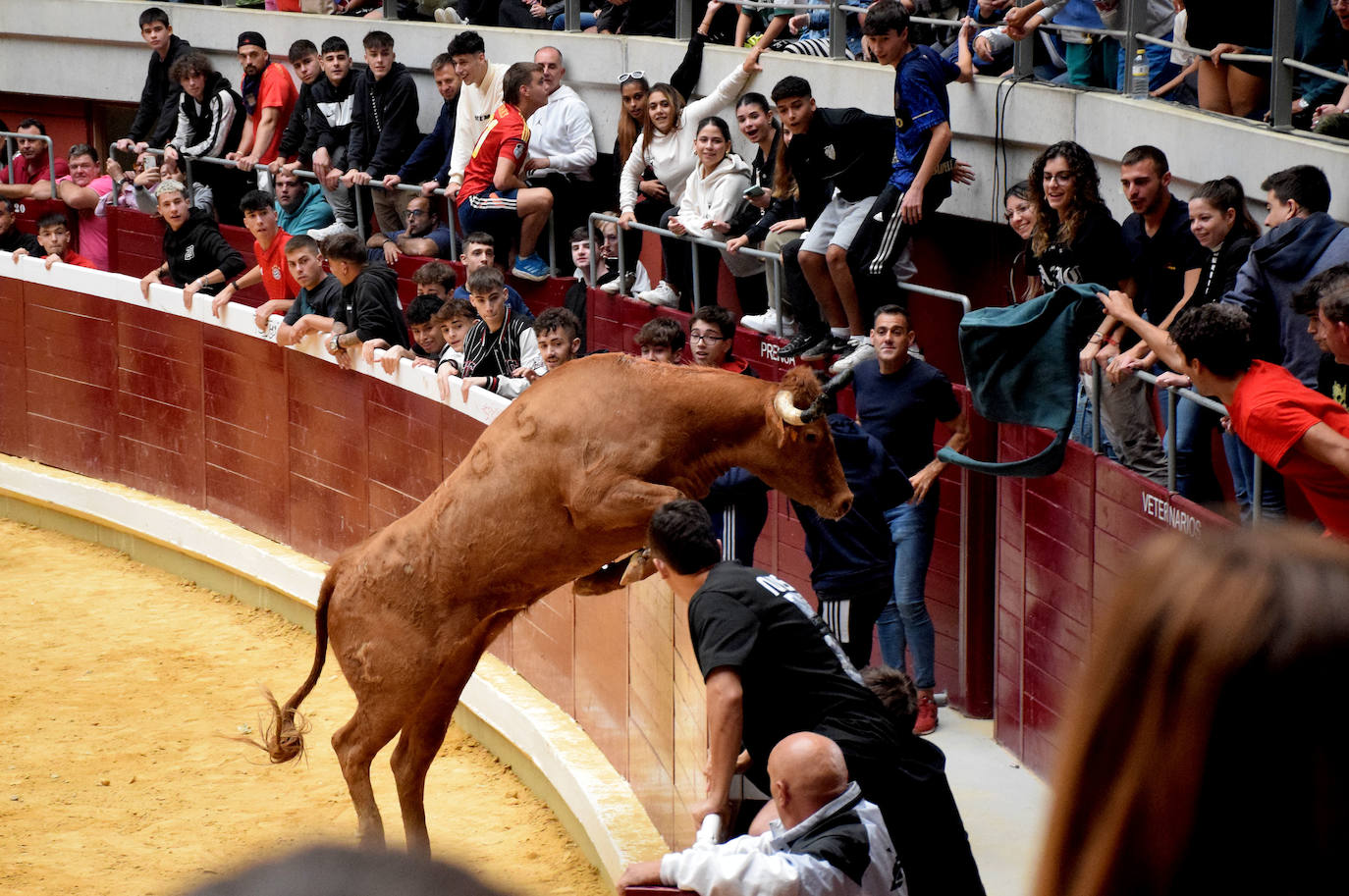 Las vaquillas, fieles a la cita de San Mateo