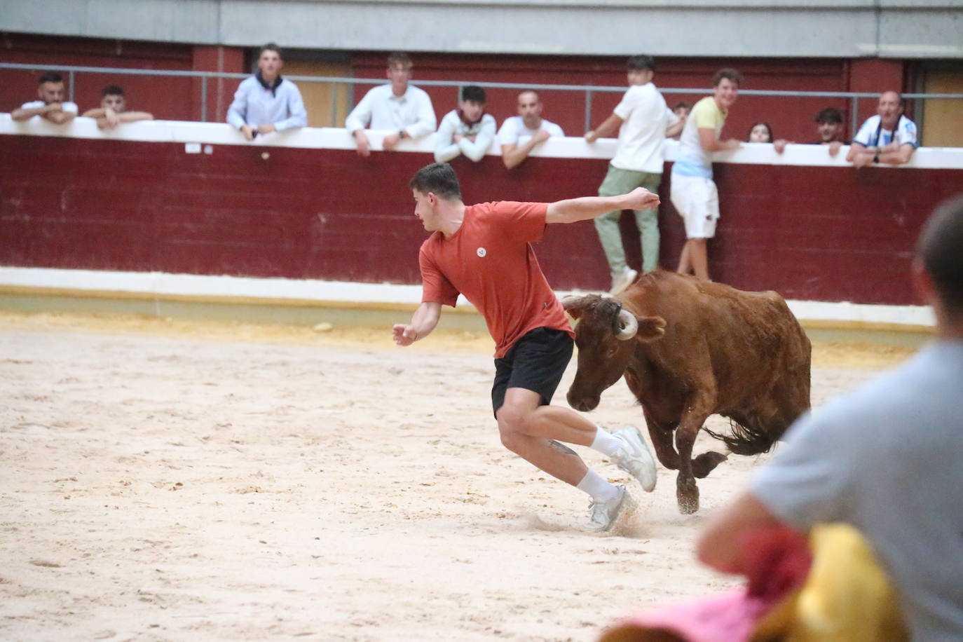 La cantera riojana se da cita en la plaza de toros de La Ribera