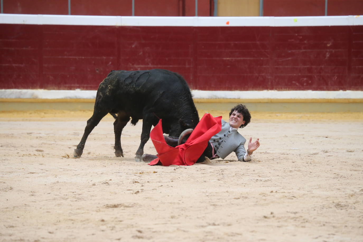La cantera riojana se da cita en la plaza de toros de La Ribera