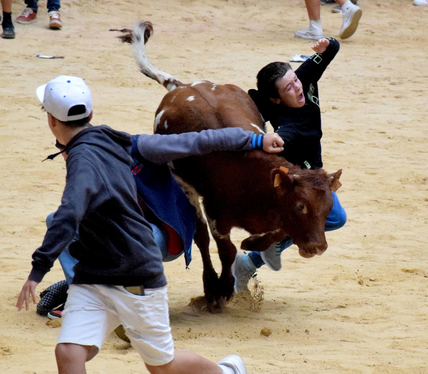 Las vaquillas del día de San Mateo