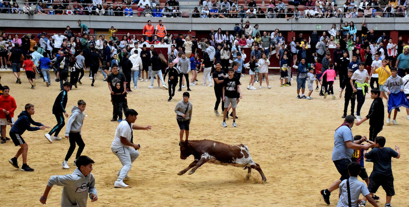 Las vaquillas del día de San Mateo