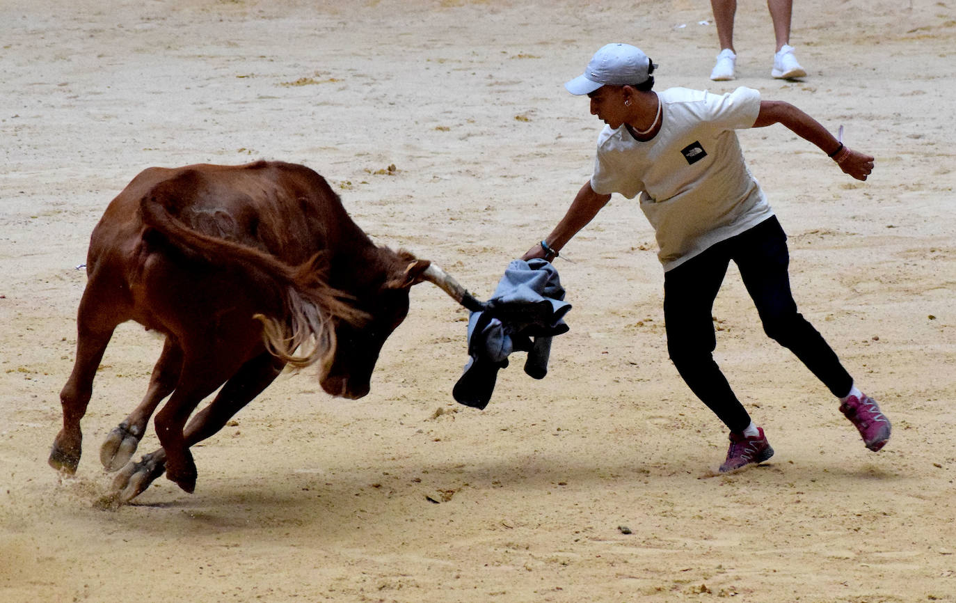 Las vaquillas del día de San Mateo
