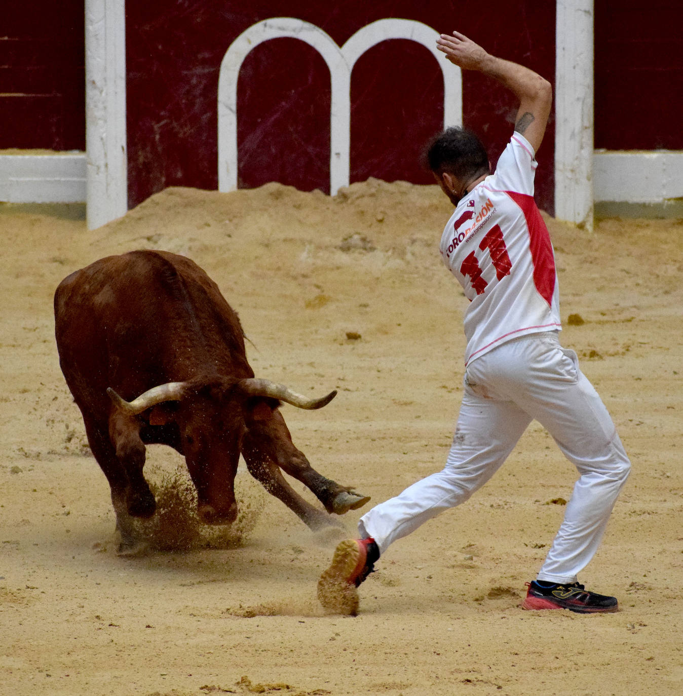 Las vaquillas del día de San Mateo
