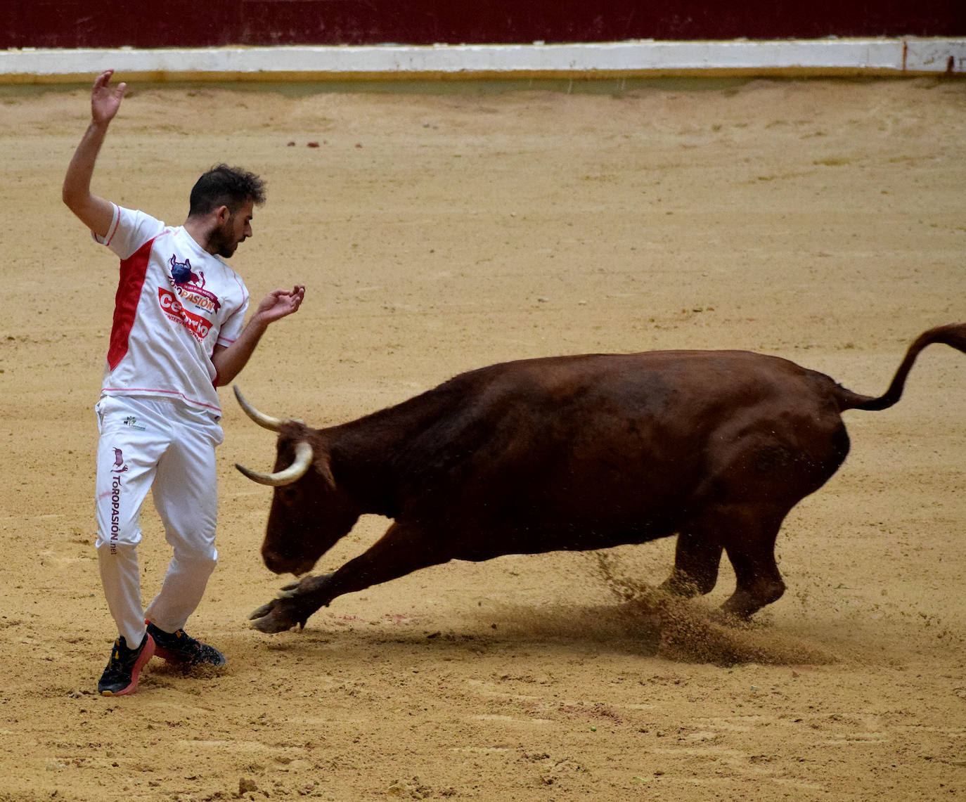 Las vaquillas del día de San Mateo