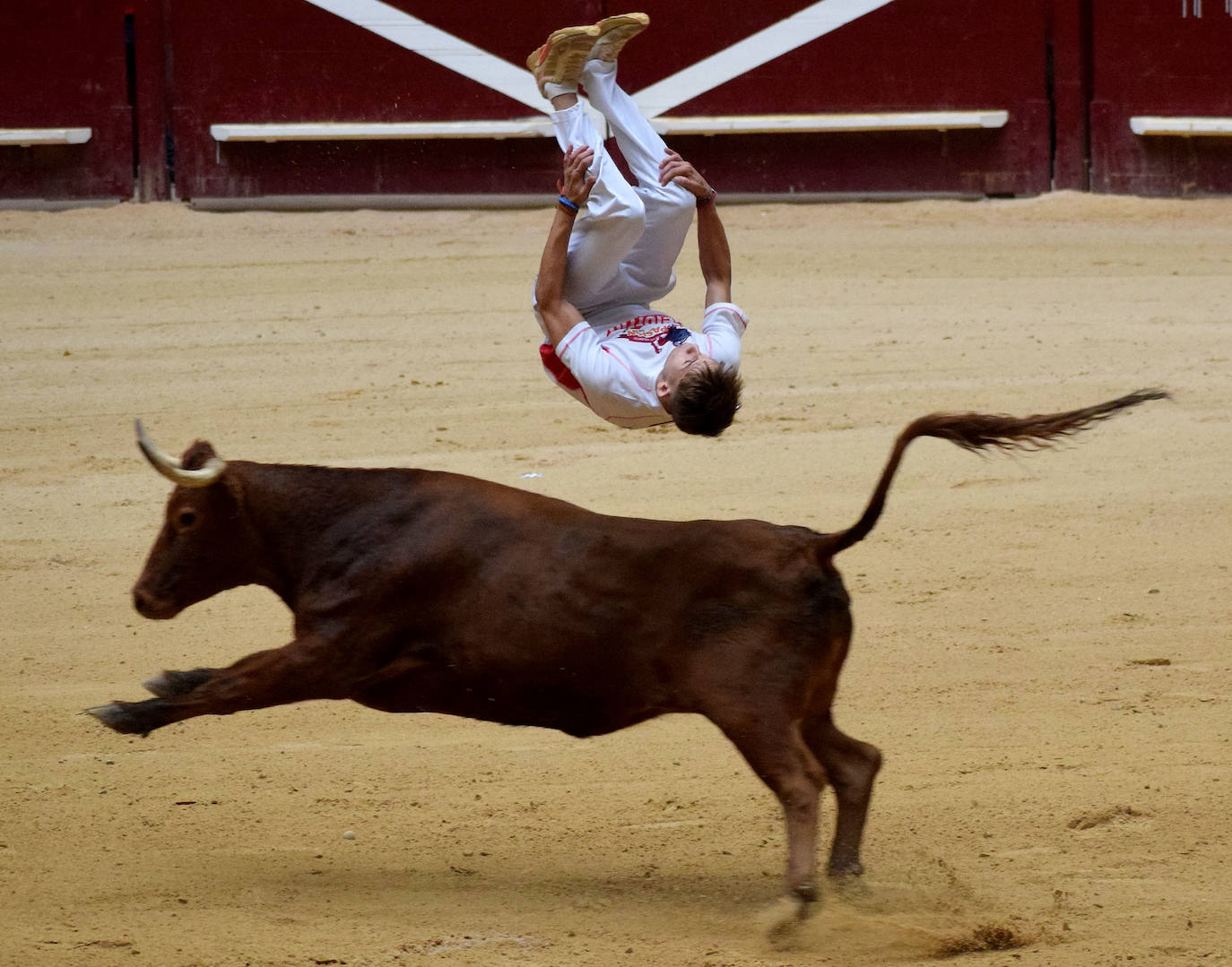Las vaquillas del día de San Mateo