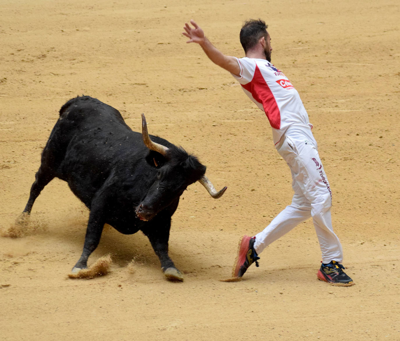 Las vaquillas del día de San Mateo