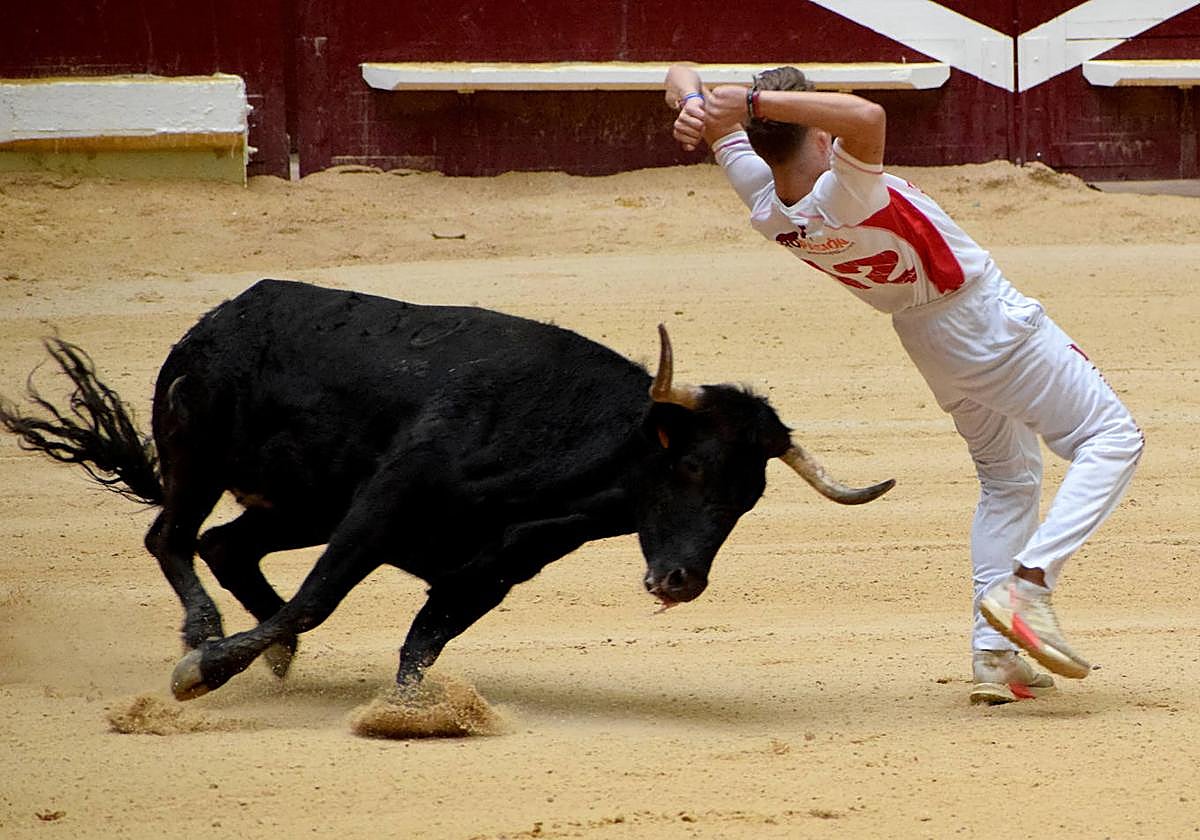 Las vaquillas del día de San Mateo