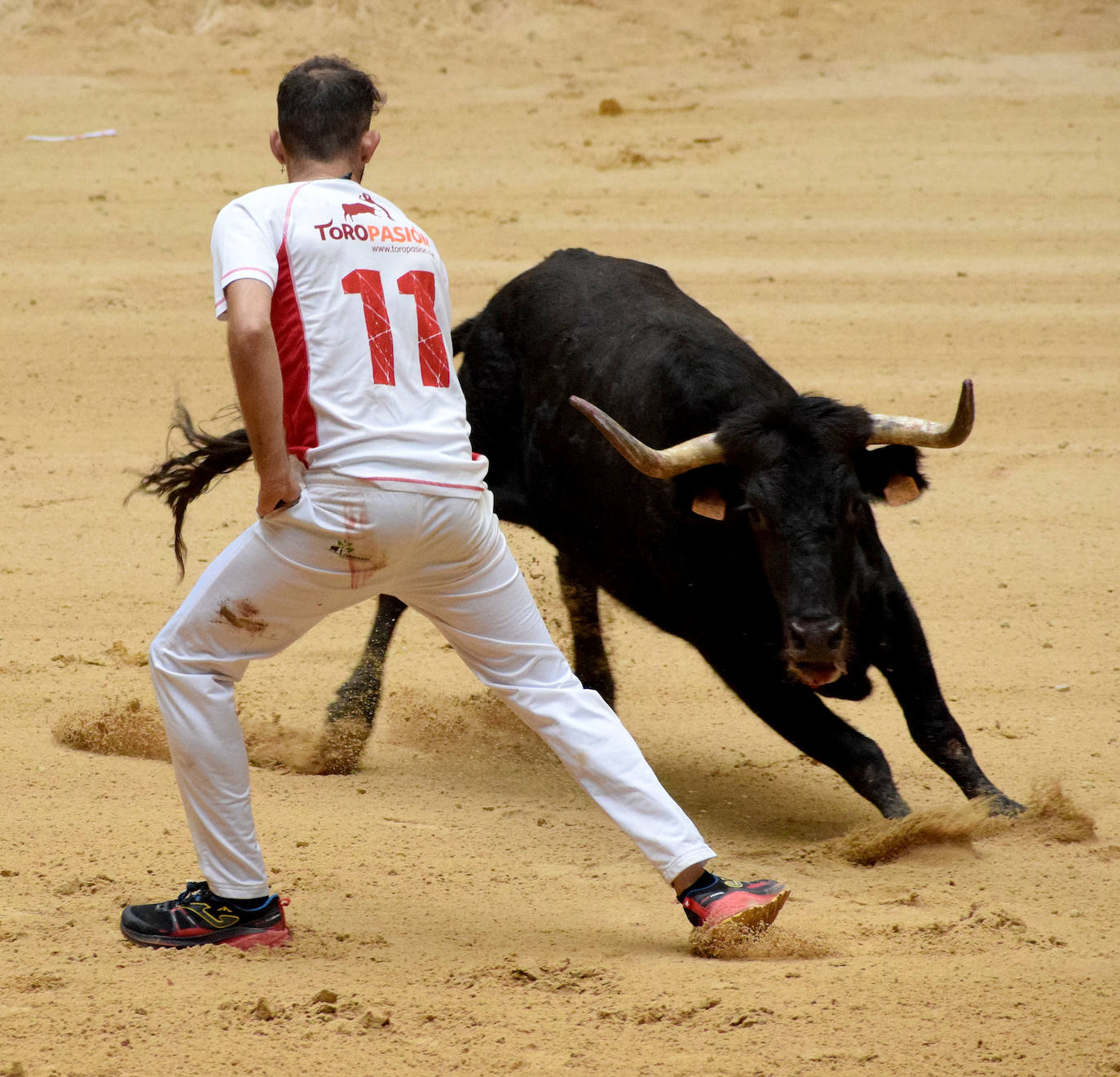 Las vaquillas del día de San Mateo