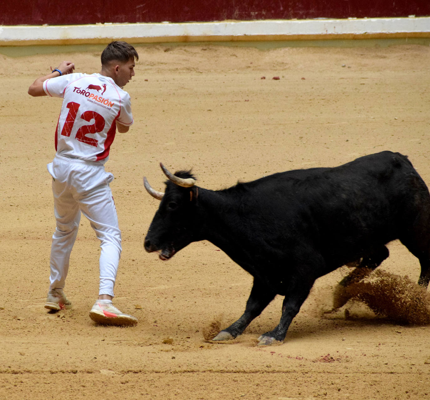 Las vaquillas del día de San Mateo
