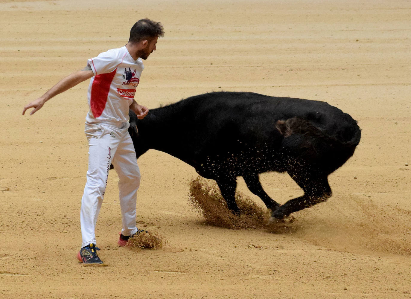 Las vaquillas del día de San Mateo