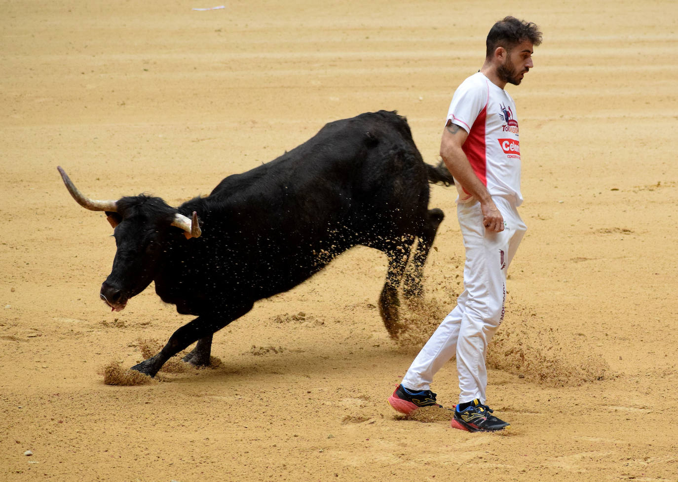 Las vaquillas del día de San Mateo
