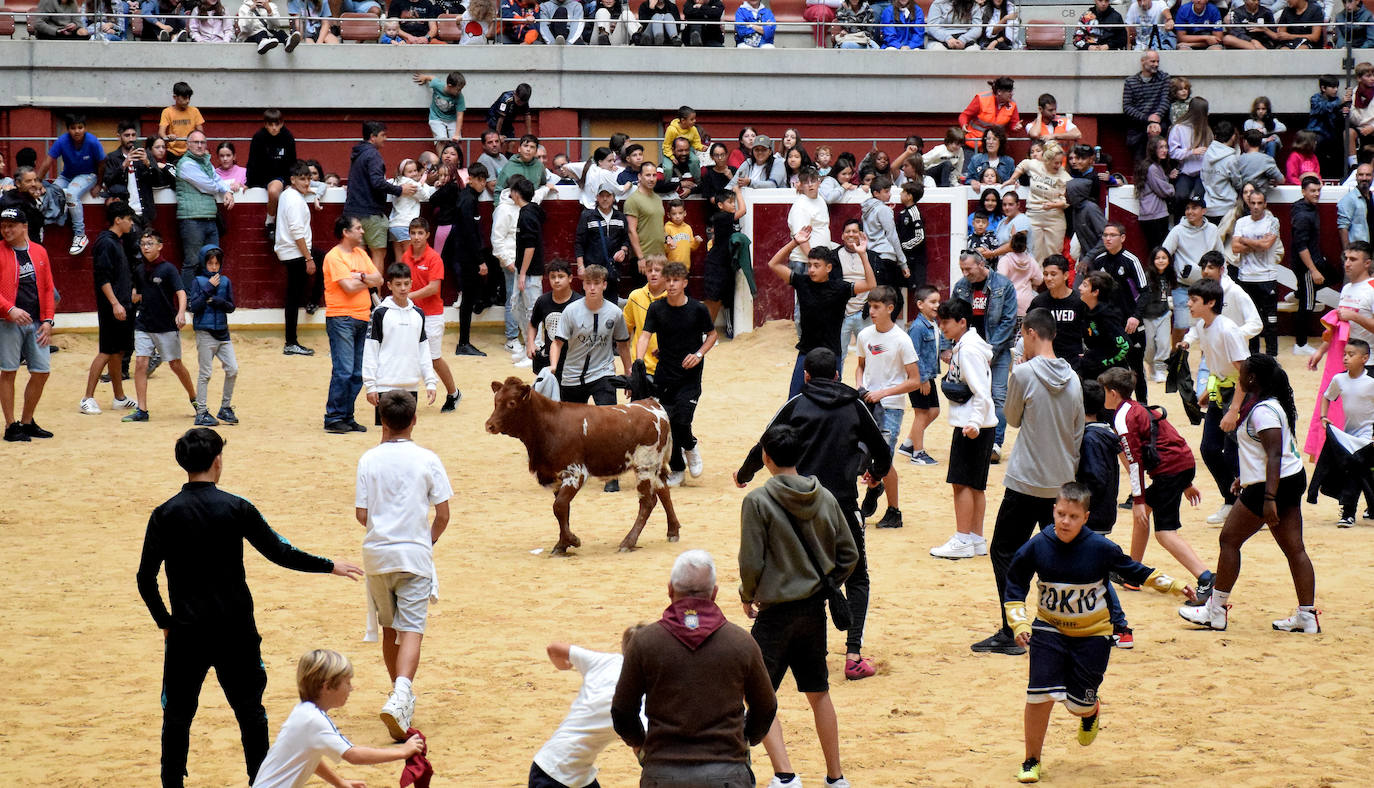 Las vaquillas del día de San Mateo