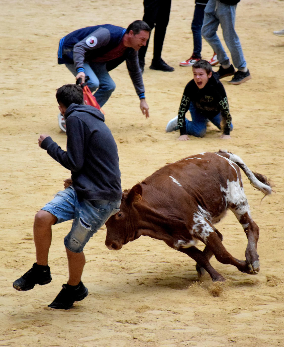 Las vaquillas del día de San Mateo