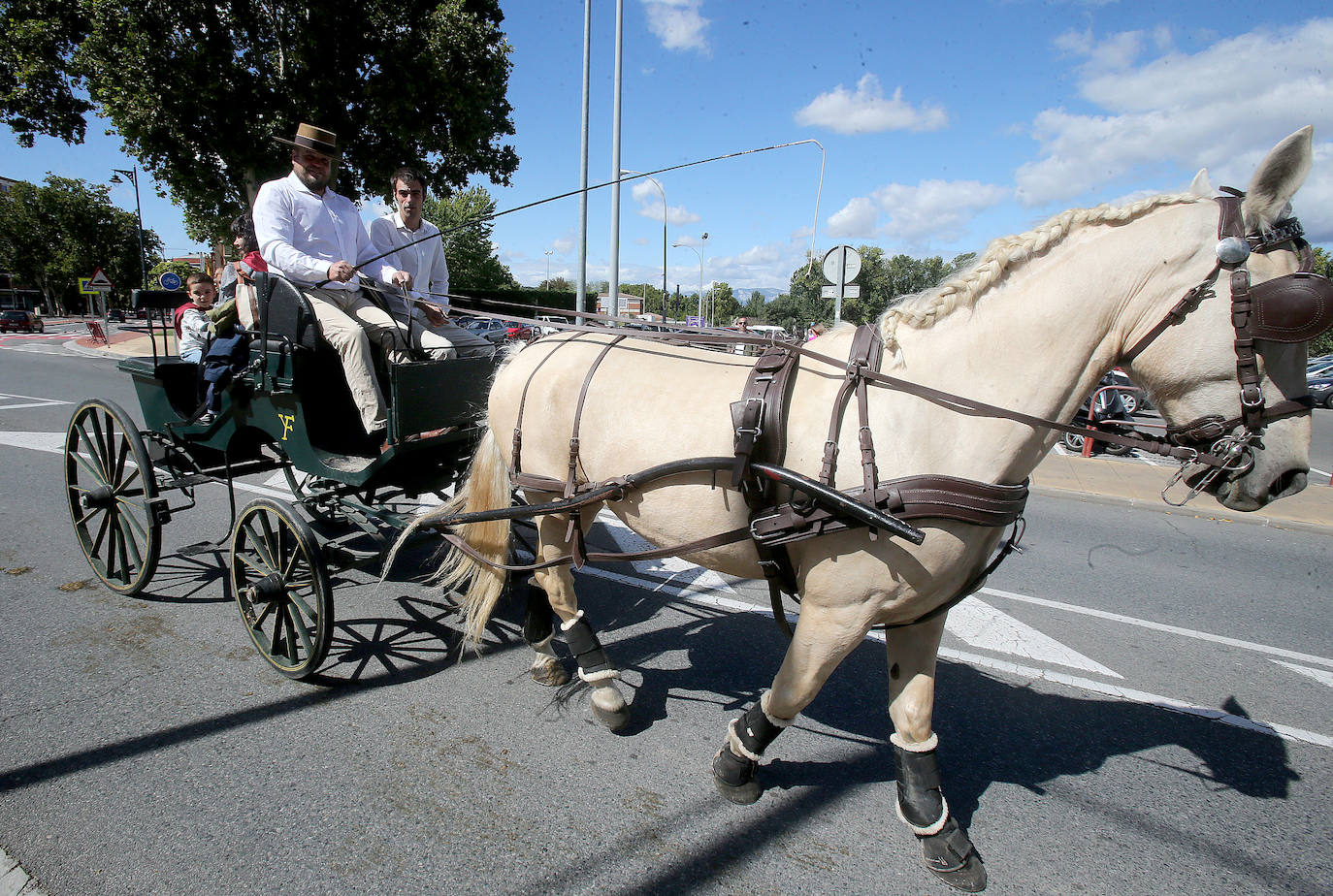 En calesa por el entorno de la Casa de Andalucía