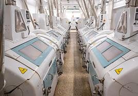 Molinos con los que se busca la mayor homogeniedad del trigo.